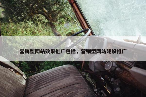 营销型网站效果推广包括，营销型网站建设推广