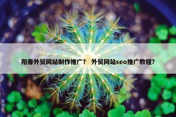 阳春外贸网站制作推广？ 外贸网站seo推广教程？