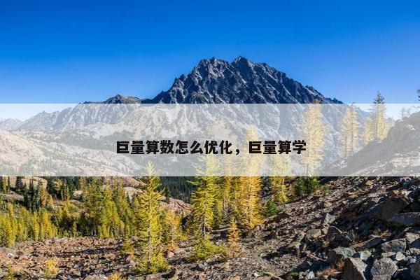 巨量算数怎么优化，巨量算学