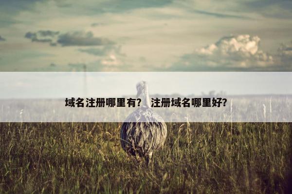 域名注册哪里有？ 注册域名哪里好？