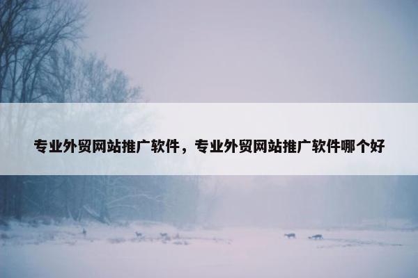 专业外贸网站推广软件，专业外贸网站推广软件哪个好