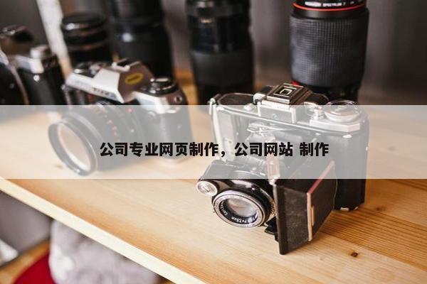 公司专业网页制作，公司网站 制作