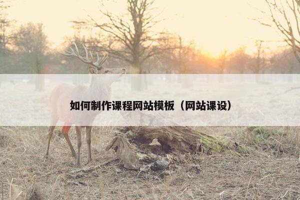 如何制作课程网站模板（网站课设）