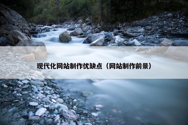 现代化网站制作优缺点（网站制作前景）