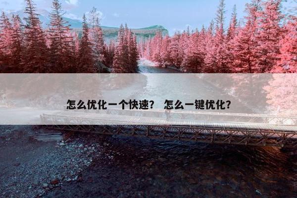 怎么优化一个快速？ 怎么一键优化？