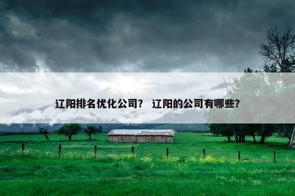 辽阳排名优化公司？ 辽阳的公司有哪些？