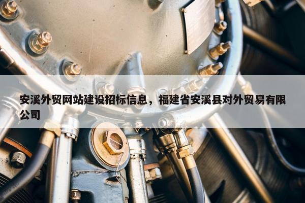 安溪外贸网站建设招标信息，福建省安溪县对外贸易有限公司