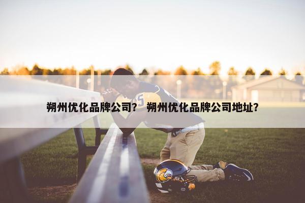 朔州优化品牌公司？ 朔州优化品牌公司地址？