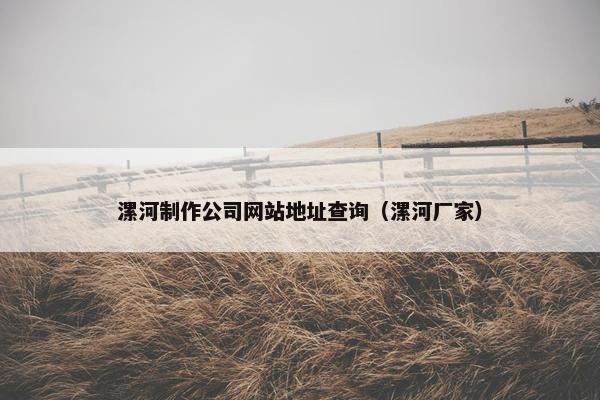 漯河制作公司网站地址查询（漯河厂家）