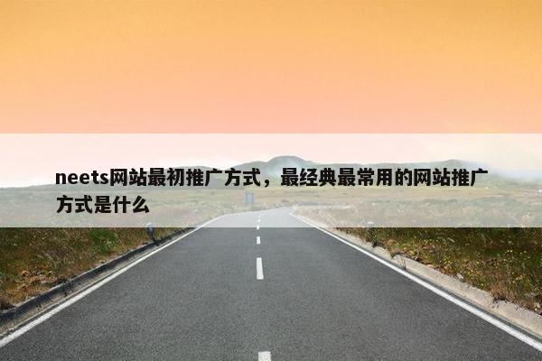 neets网站最初推广方式，最经典最常用的网站推广方式是什么