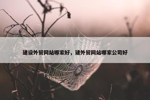 建设外贸网站哪家好，建外贸网站哪家公司好