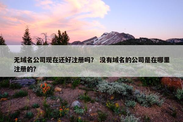 无域名公司现在还好注册吗？ 没有域名的公司是在哪里注册的？