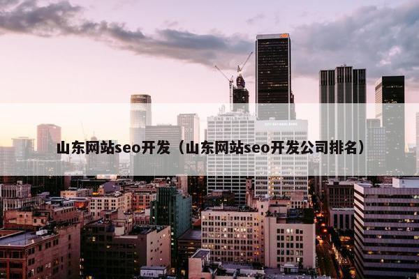 山东网站seo开发（山东网站seo开发公司排名）