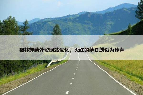 锡林郭勒外贸网站优化，火红的萨日朗设为铃声