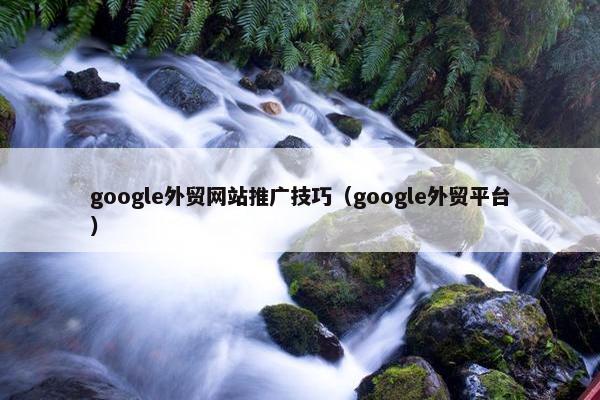 google外贸网站推广技巧（google外贸平台）