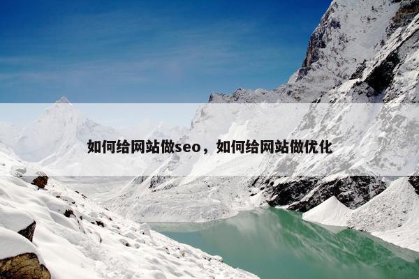 如何给网站做seo，如何给网站做优化