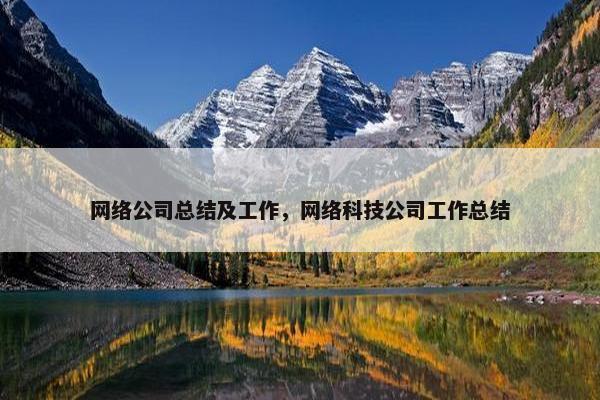 网络公司总结及工作，网络科技公司工作总结