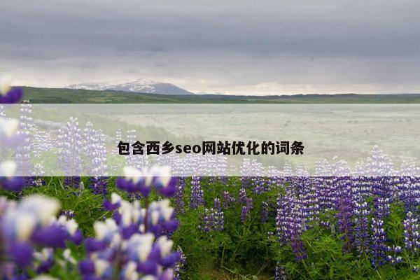 包含西乡seo网站优化的词条