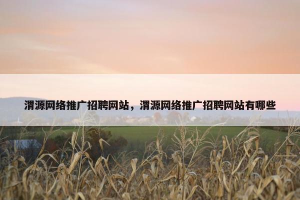渭源网络推广招聘网站，渭源网络推广招聘网站有哪些