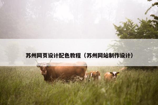 苏州网页设计配色教程（苏州网站制作设计）