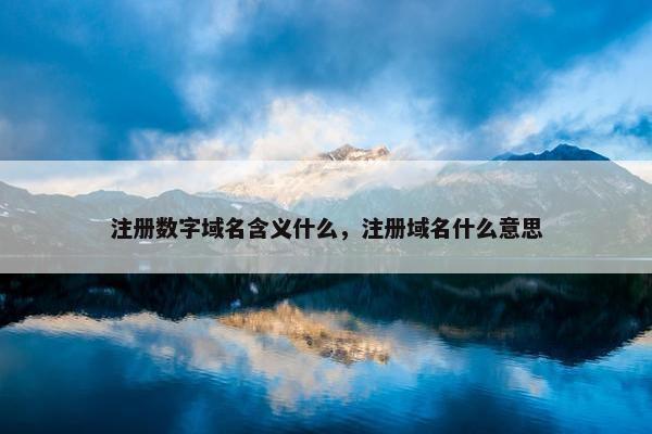 注册数字域名含义什么，注册域名什么意思