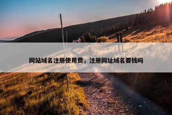 网站域名注册使用费，注册网址域名要钱吗