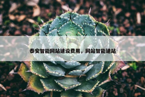 泰安智能网站建设费用，网站智能建站