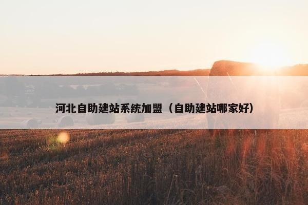 河北自助建站系统加盟（自助建站哪家好）