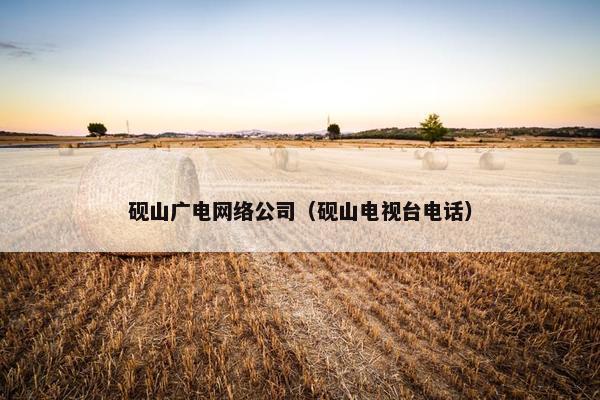 砚山广电网络公司（砚山电视台电话）