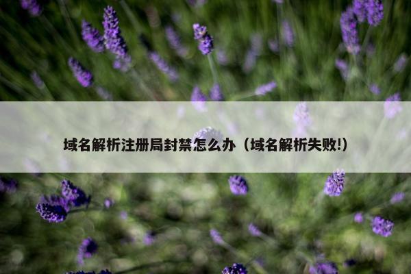 域名解析注册局封禁怎么办（域名解析失败!）