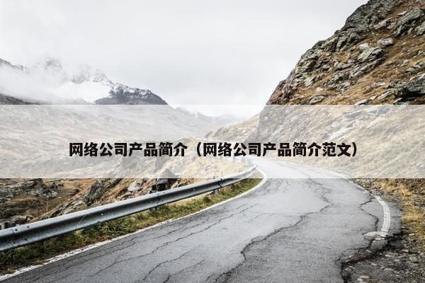 网络公司产品简介（网络公司产品简介范文）