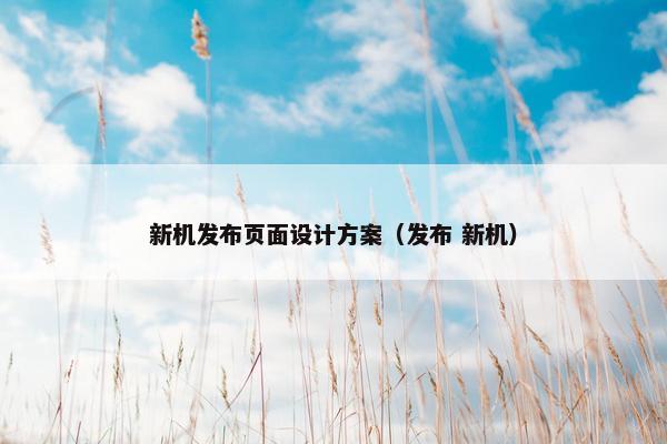新机发布页面设计方案（发布 新机）