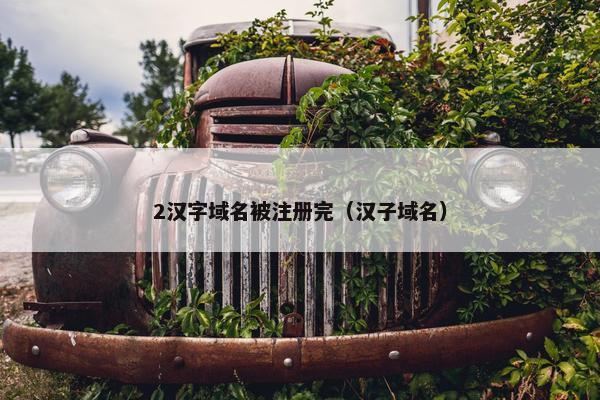 2汉字域名被注册完（汉子域名）