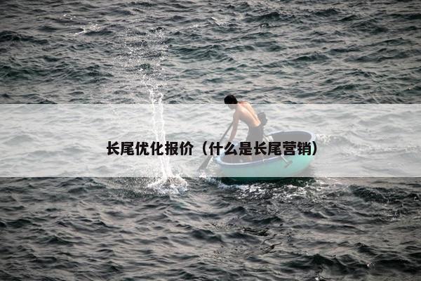 长尾优化报价（什么是长尾营销）