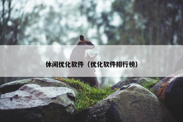 休闲优化软件（优化软件排行榜）