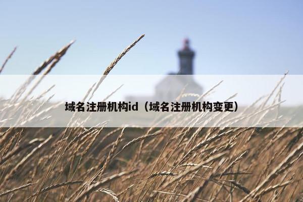 域名注册机构id（域名注册机构变更）
