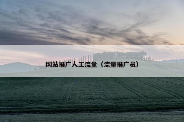 网站推广人工流量（流量推广员）