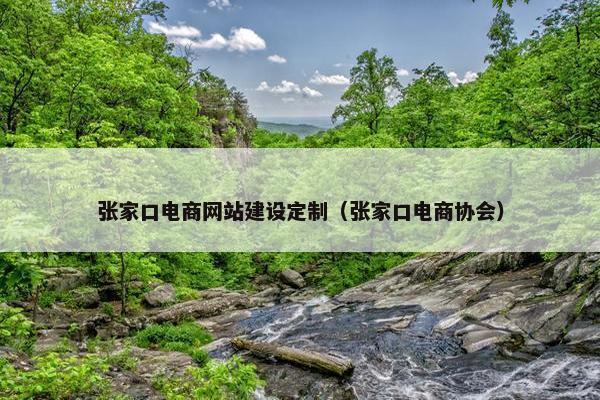 张家口电商网站建设定制（张家口电商协会）