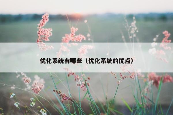 优化系统有哪些（优化系统的优点）