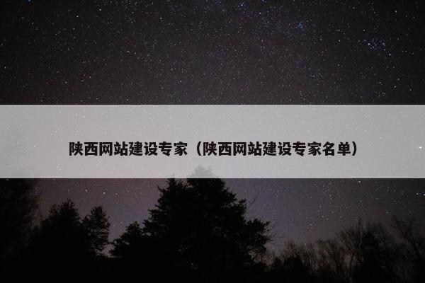 陕西网站建设专家（陕西网站建设专家名单）