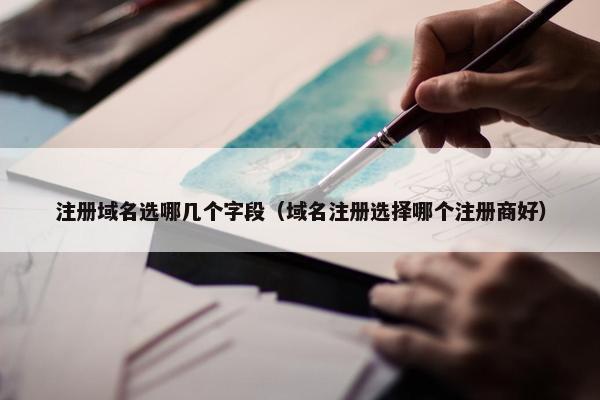 注册域名选哪几个字段（域名注册选择哪个注册商好）