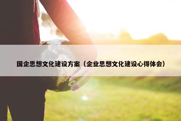 国企思想文化建设方案（企业思想文化建设心得体会）