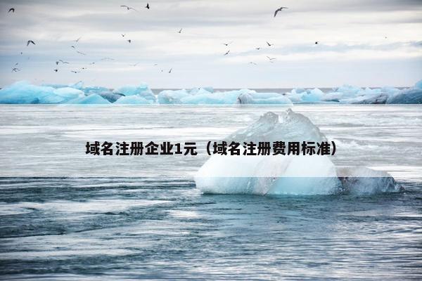 域名注册企业1元（域名注册费用标准）