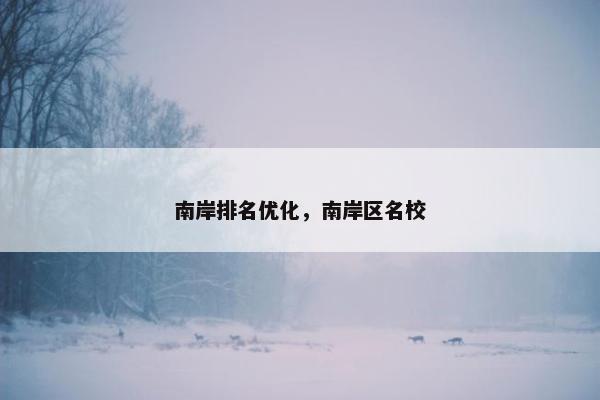南岸排名优化，南岸区名校