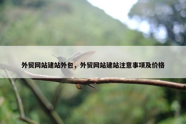 外贸网站建站外包，外贸网站建站注意事项及价格