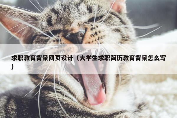 求职教育背景网页设计（大学生求职简历教育背景怎么写）