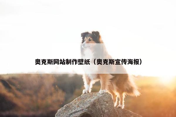 奥克斯网站制作壁纸（奥克斯宣传海报）