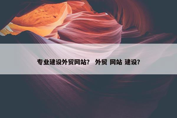 专业建设外贸网站？ 外贸 网站 建设？