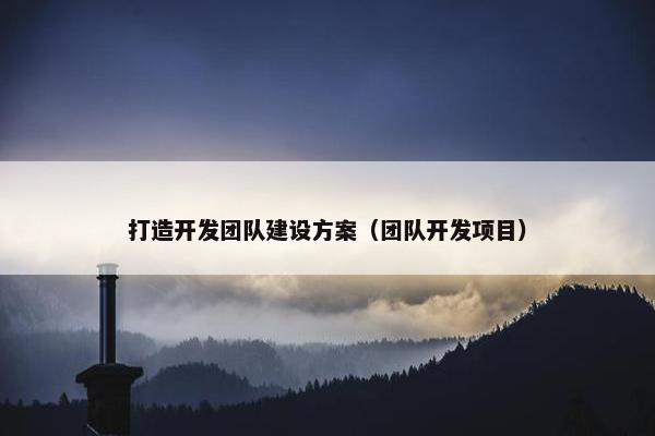 打造开发团队建设方案（团队开发项目）