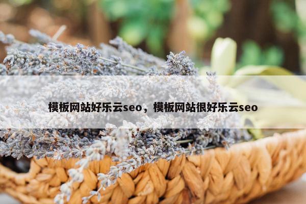 模板网站好乐云seo，模板网站很好乐云seo